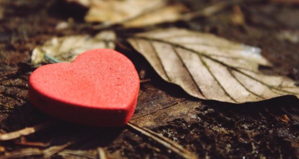 Love and Love Again