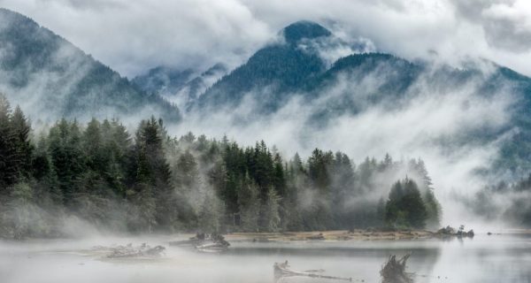 Song of the Rising Mist