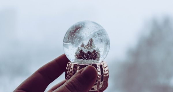 Snow Globes