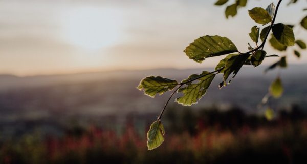 Tolkien and the Myth of Creation