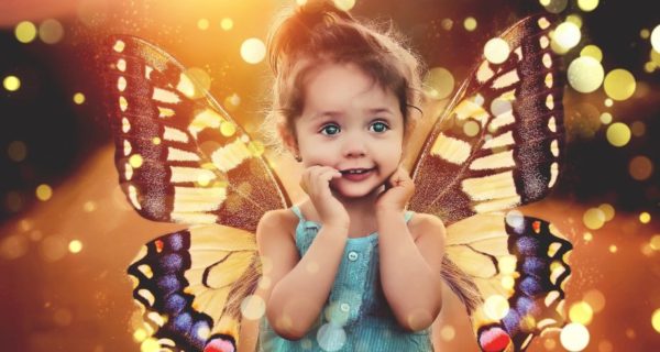 The Brave Little Fairy