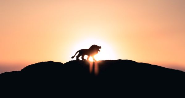 Death and the Lion: Table of Contents