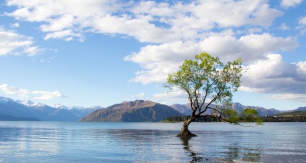 Sound and Silence: Motifs in Tolkien’s Epic Fantasy Universe