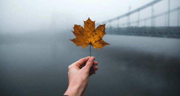 Seasons Change