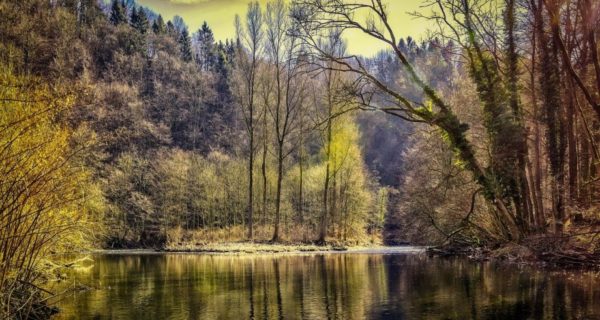 Kay: A King Arthur Poem