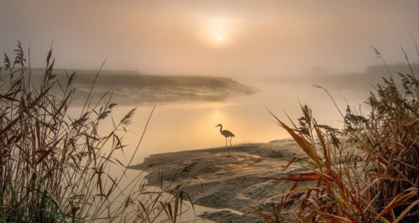 Prophecy of Antillia