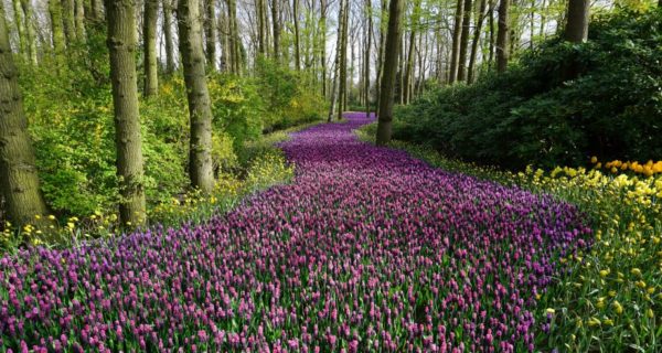 Springtime with Tolkien: A Seasonal Reflection on Stratford Caldecott’s “The Power of the Ring”