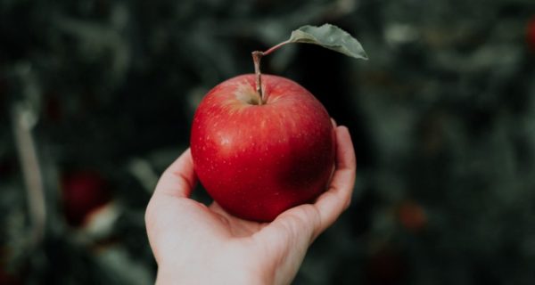 Adam and Eve: Myth or Divine Revelation?