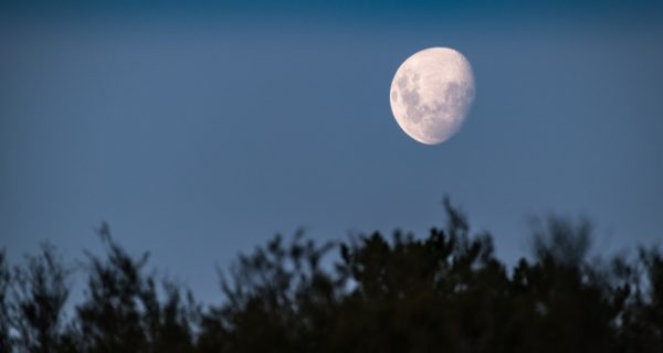The Archer and the Moon