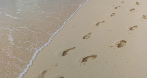 You Walk Beside Me