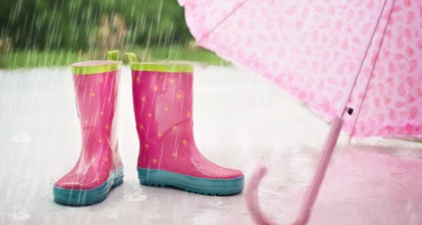 The Rainy Day