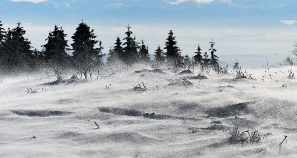 A Mild Cold Front