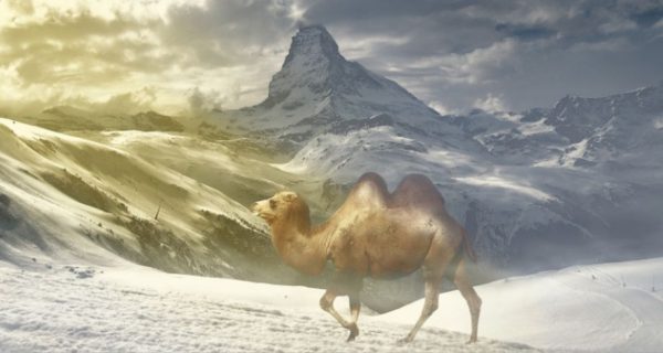 Sometimes it Snows in Bethlehem
