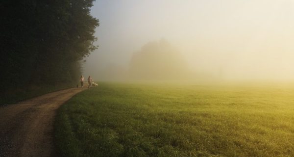 The Walk