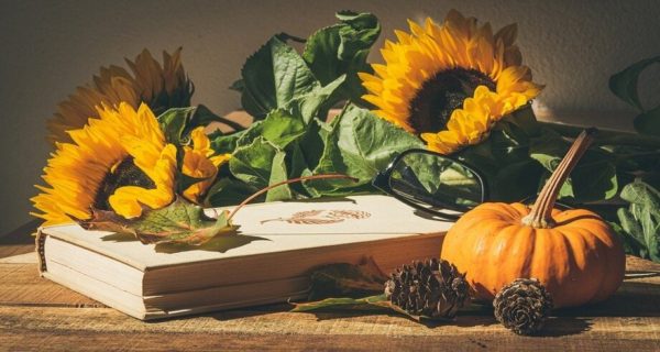 Autumn Adventures – The First of Autumn: 03