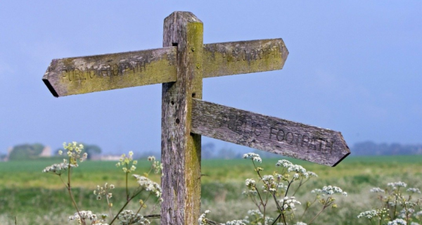Ipswich, Willesden and Walsingham: Three Marian Shrines in Sixteenth Century England