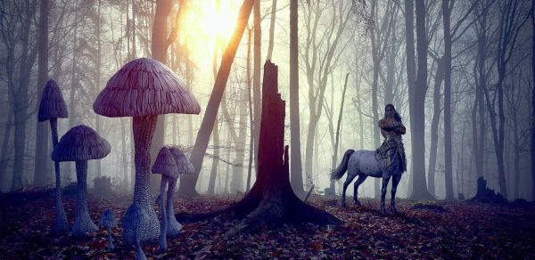 The Centaurs’ Chronicle: A Chronicles of Narnia Poem