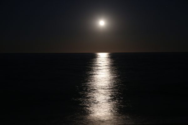 Starry Eyed, No Sleep – Part 1