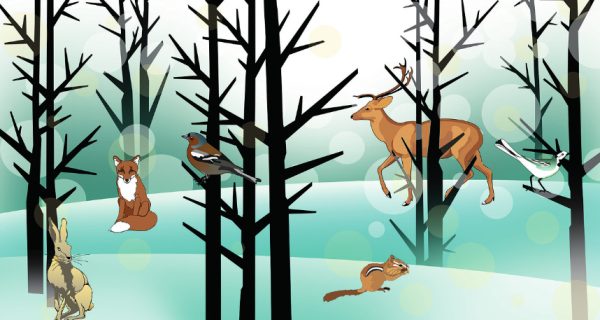 The Ancient Yule of the Forest