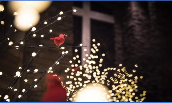 Christmas Giggles