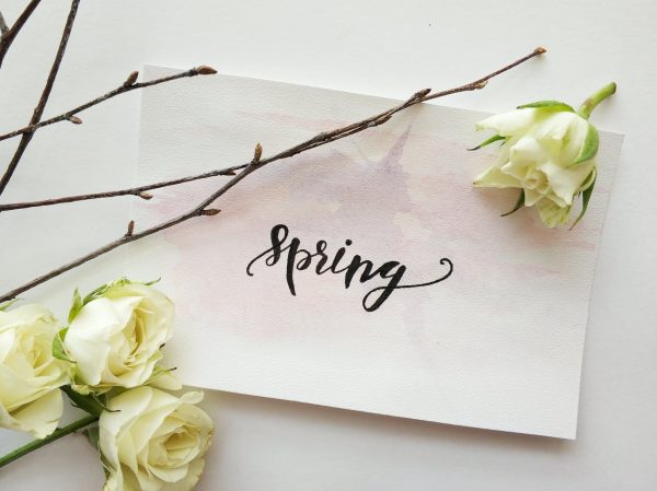 Spring Flowers