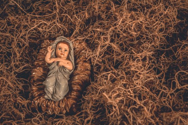 The Little Bird of Bethlehem